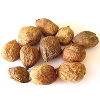 Madanaphala (Randia dumetorum) - Uses, Benefits and Medicinal Properties