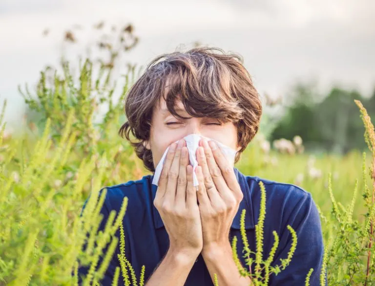 Pollen Allergy Ayurvedic Treatment - Causes, Symptoms and More