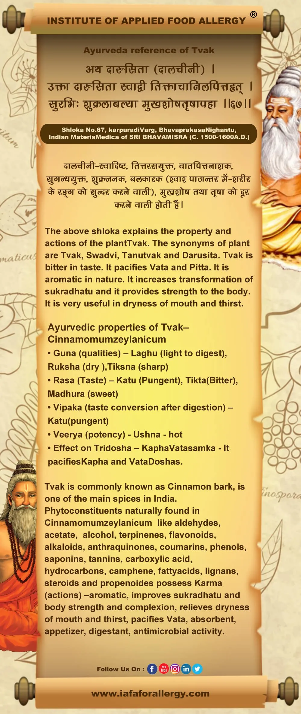 Ayurveda Reference of Tvak (Cinnamomum zeylanicum)