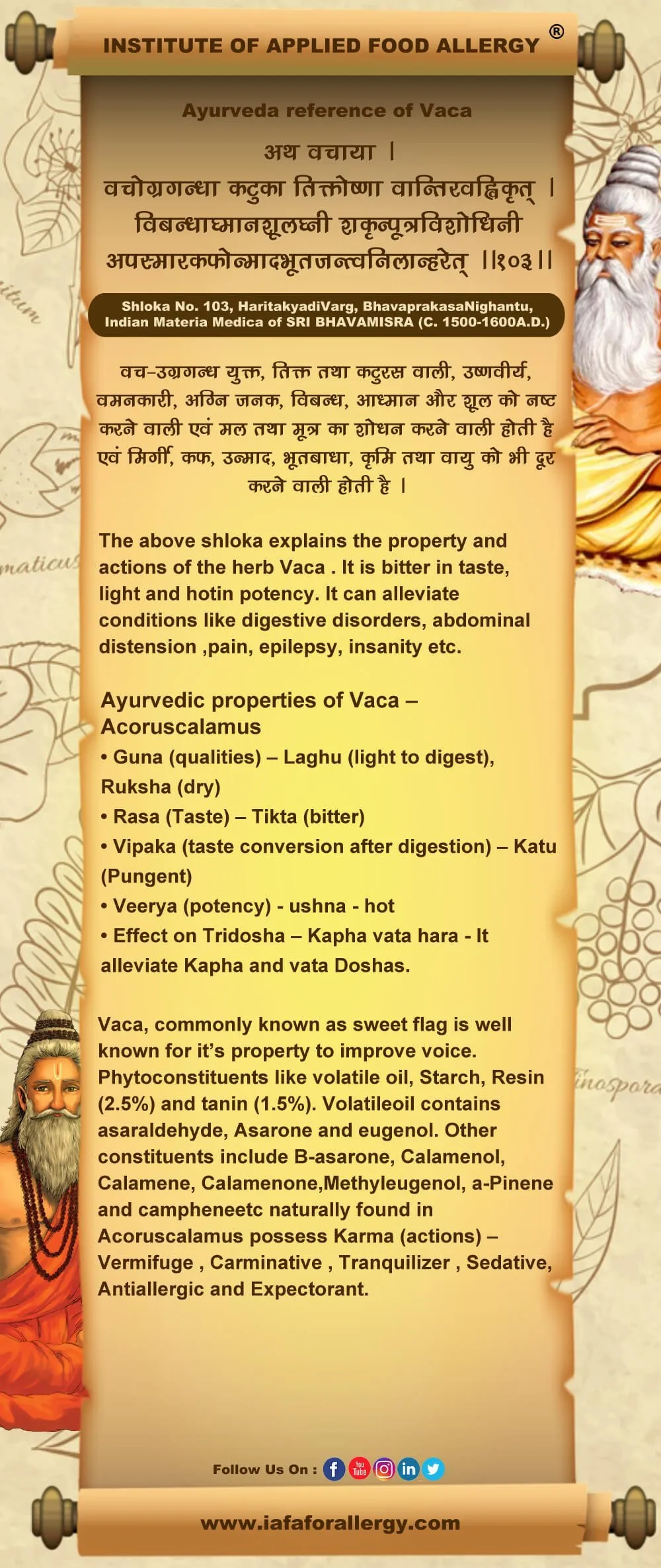Ayurveda Reference of Vaca (Acorus Calamus)