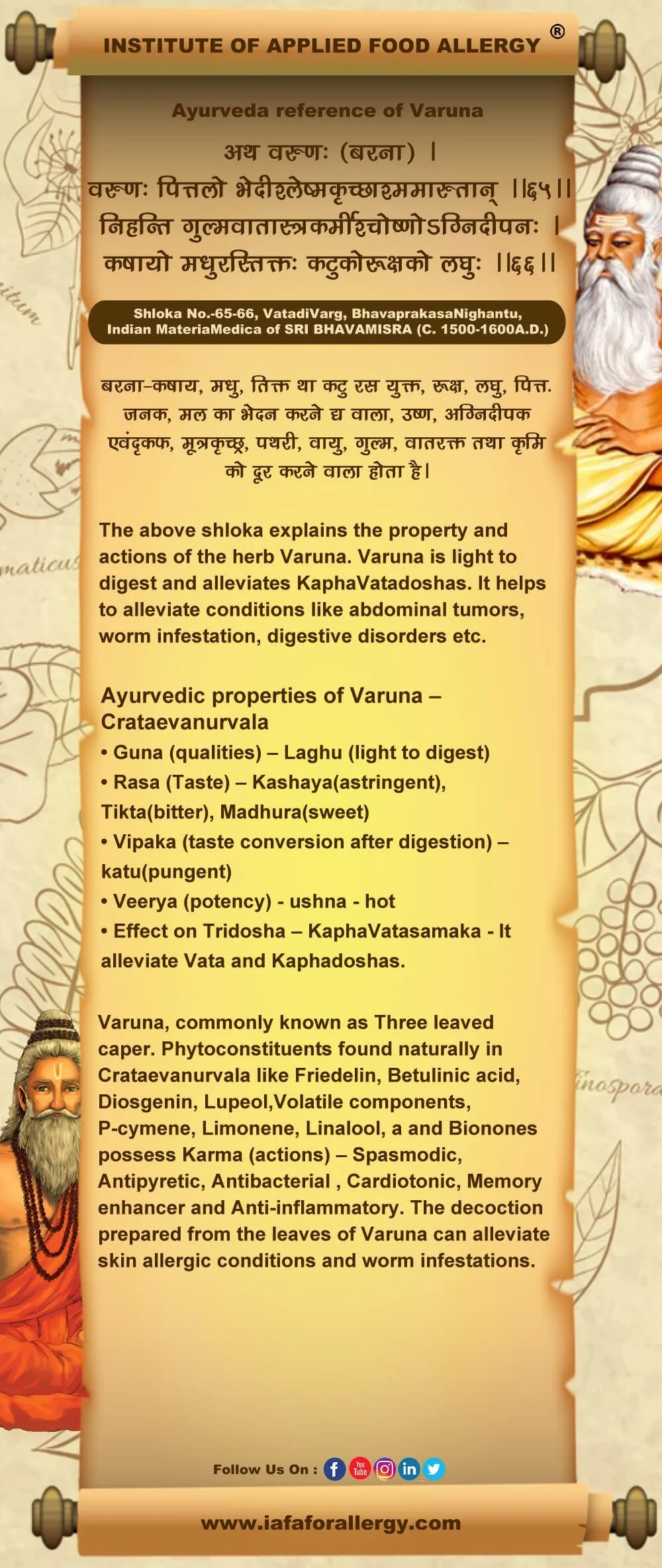 Ayurveda Reference of Varuna (Crataeva nurvala)