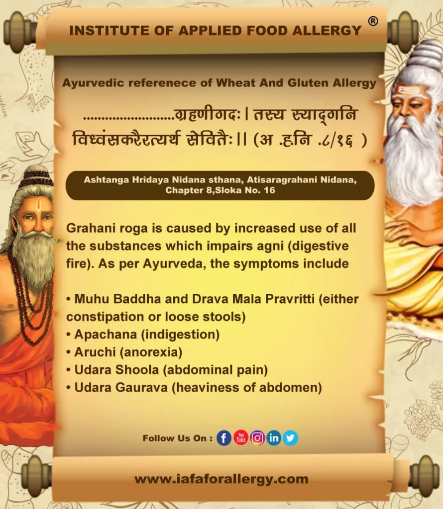 Ayurvedic Reference of Wheat And Gluten Allergy - Grahani roga
