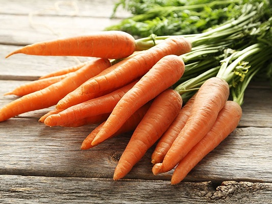 Carrot (Gajar - Daucus Carota)