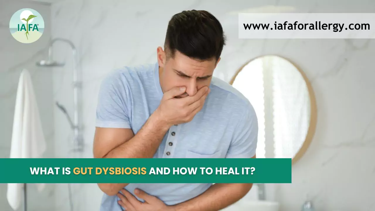 What is Gut Dysbiosis And How to Heal It?