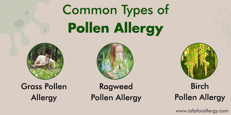 What are the Types of Pollen Allergy?