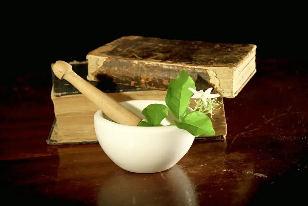About IAFA Ayurveda®