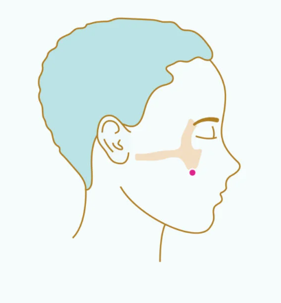 Cheekbone Pressure Center Cheekbone Pressure Center