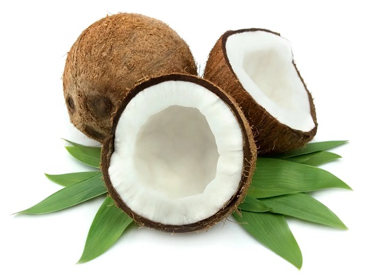 Coconut (Nariyal - Cocos Nucifera)
