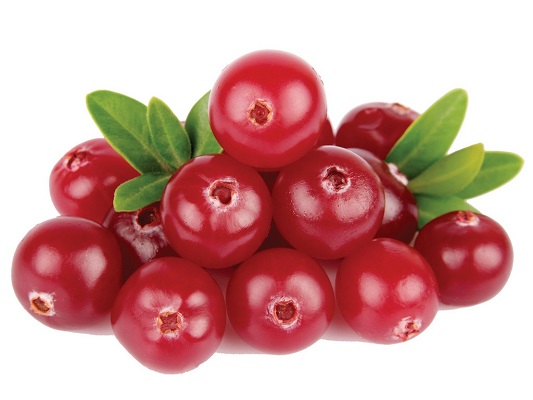 Cranberry (Karonda – Vaccinium Macrocarpon)