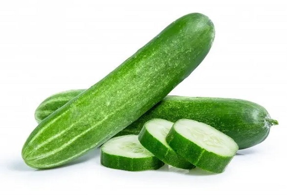 Cucumber (Kheera – Cucumis Sativus)