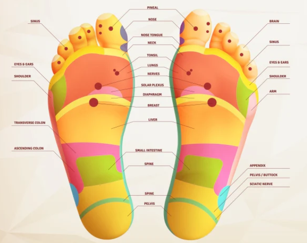 Foot Pressure Point Foot Pressure Point
