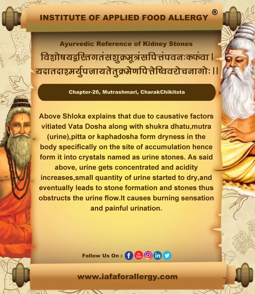 Ayurvedic Reference of Kidney Stones