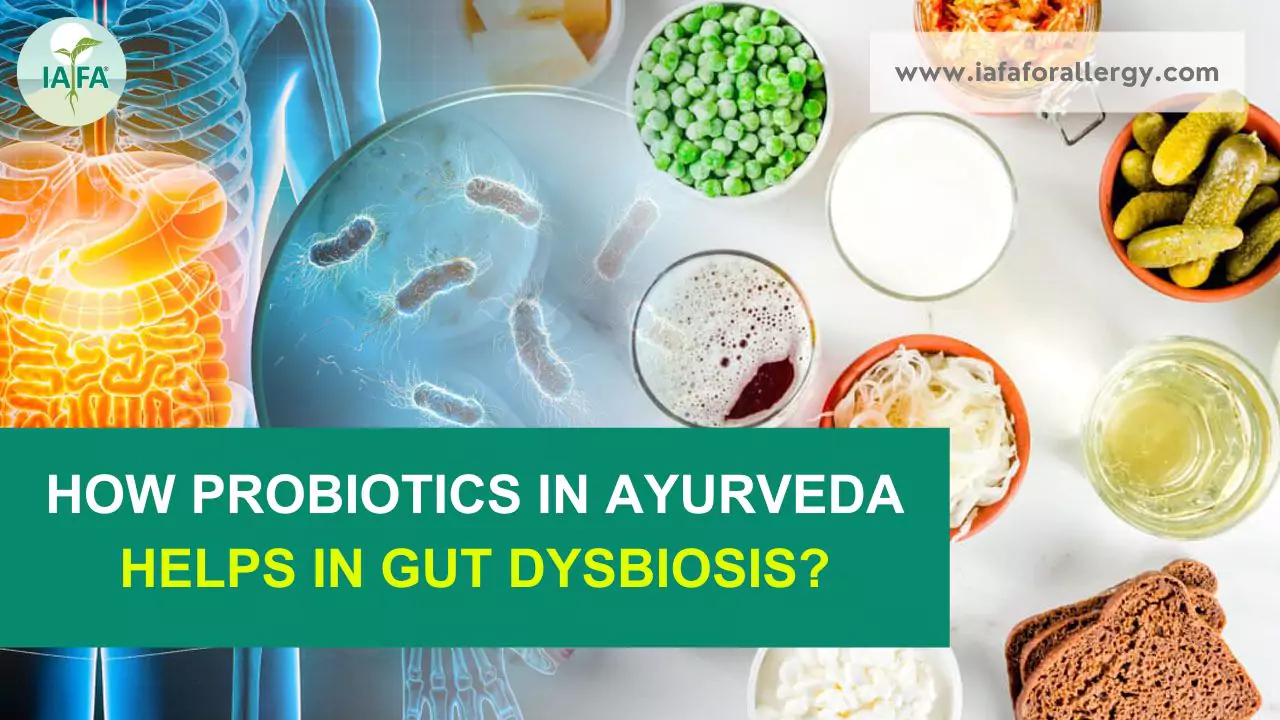 Probiotics in Ayurveda for Gut Dysbiosis