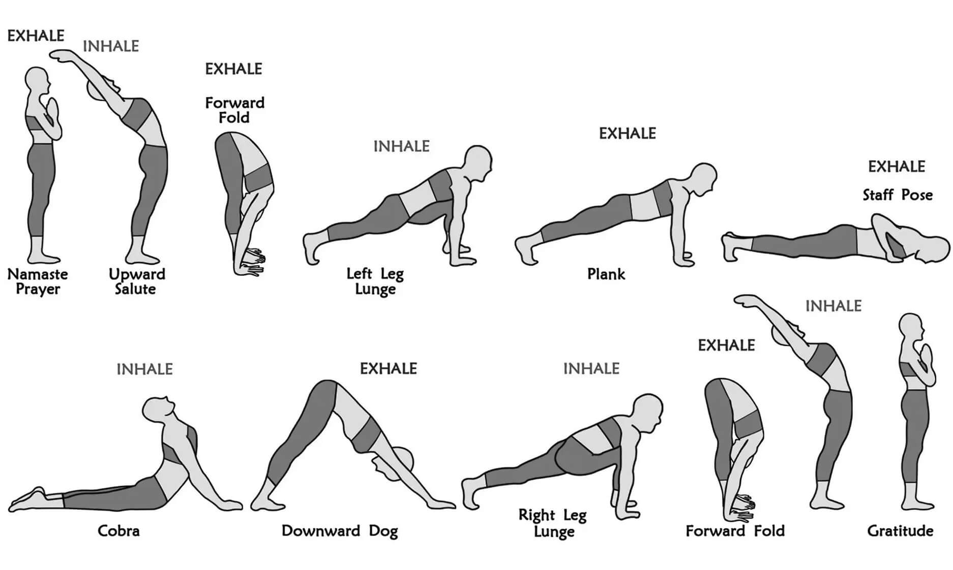 12 Steps Of Surya Namaskar- Health Benefits Guide