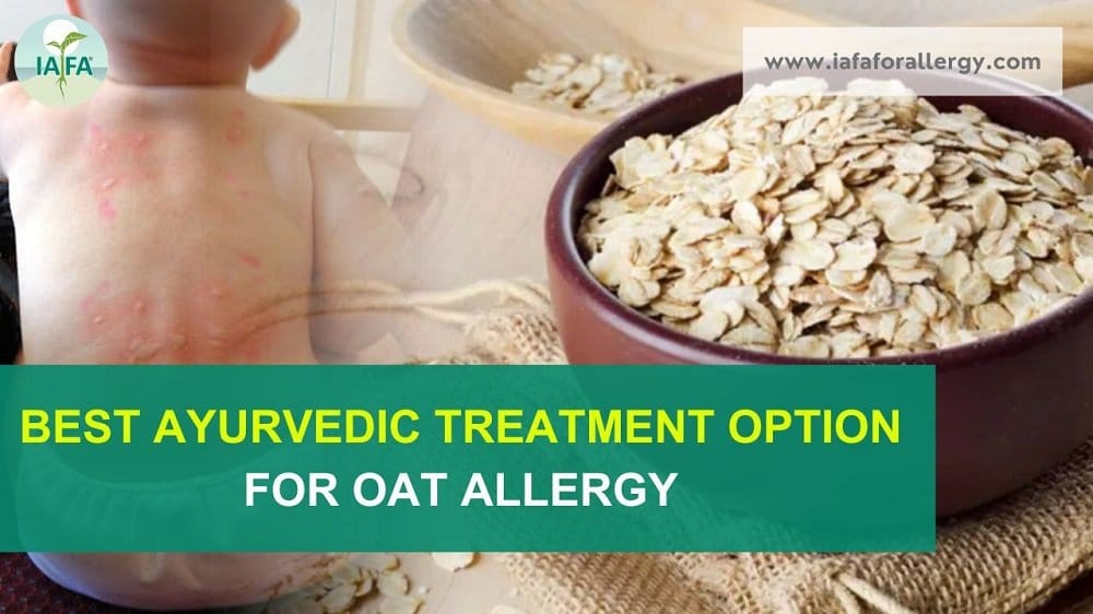 What is the Best Ayurvedic Treatment Option for Oat Allergy?