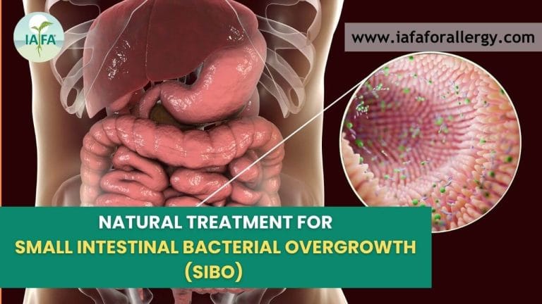 SIBO Ayurvedic Natural Treatment (Small Intestinal Bacterial Overgrowth)
