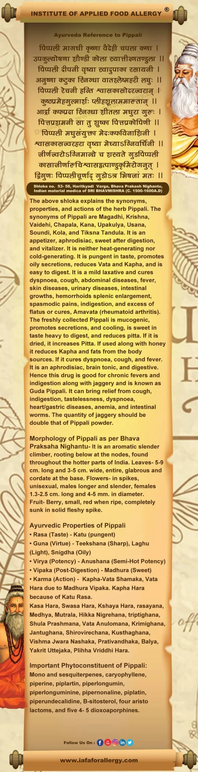 Ayurveda Reference for Pippali