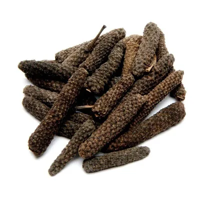 Pippali (Piper Longum) - Uses, Benefits and Medicinal Properties