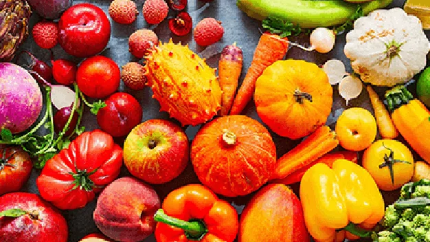 The Ultimate SIBO Diet Guide
