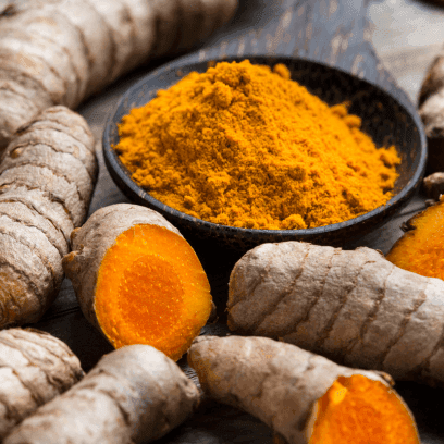 Haridra (Curcuma longa)