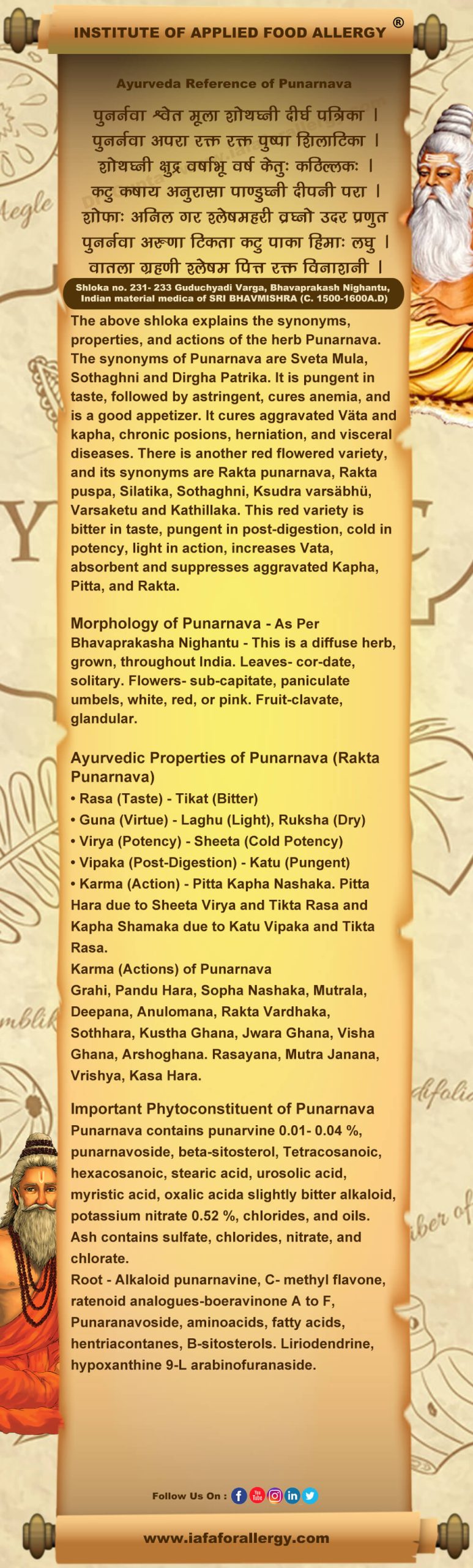 Ayurveda Reference for Punarnava (Boerhavia diffusa Linn.)