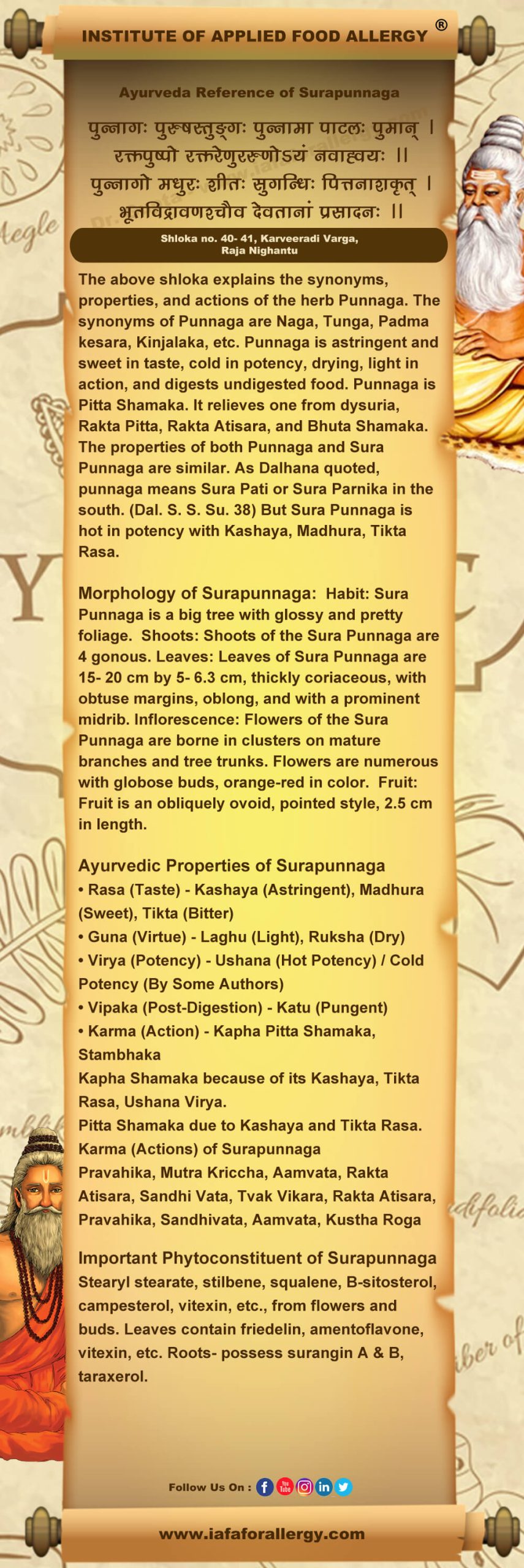 Ayurveda Reference for Surapunnaga (Ochrocarpus longifolius Linn.)