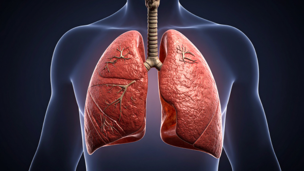 Ayurvedic Treatment for Lung Cancer