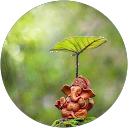 salil jangam profile picture