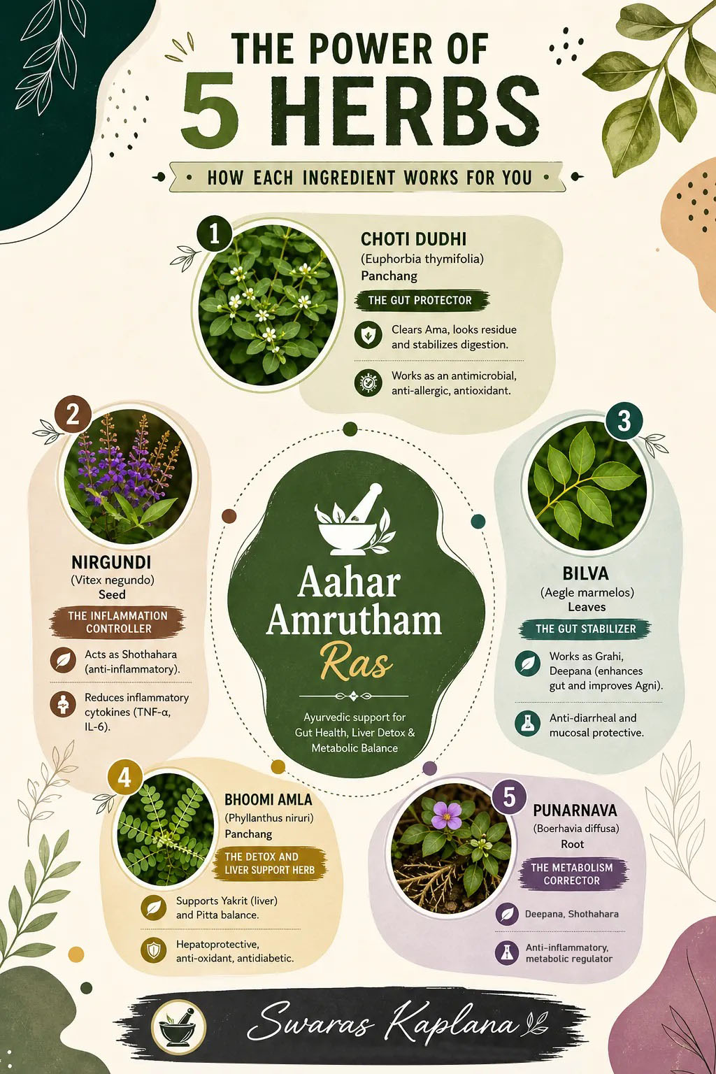Aahar Amrutham Ras Ingredients and their Benefits and Uses